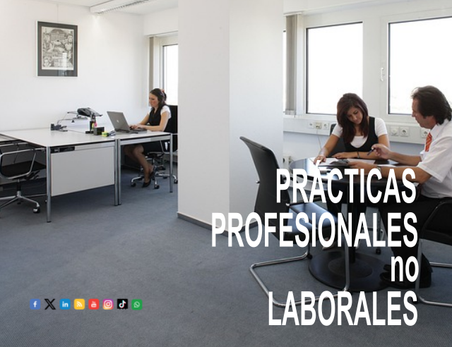 ©Ayto.Granada: Prcticas Profesionales no Laborales 