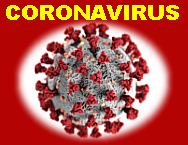 Acerca del Coronavirus